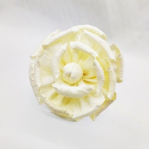 흰색접시꽃